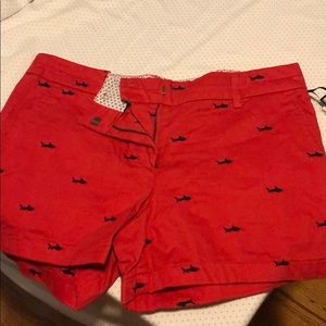 British Khaki Shorts